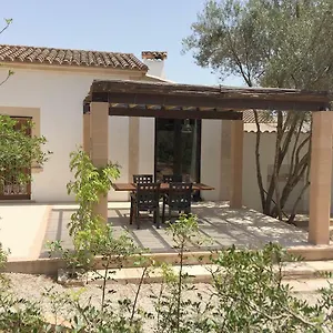  Ferienhaus Finca Las Tortugas